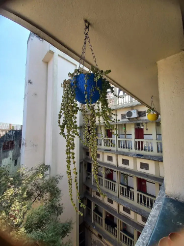 Hotel Sree Durga