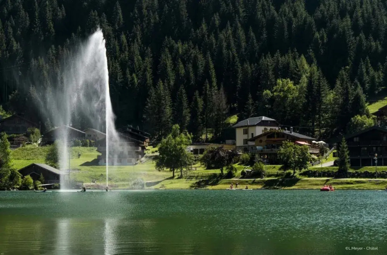 Portes Du Soleil Psb204 Telecabine & Mountain 4 pe
