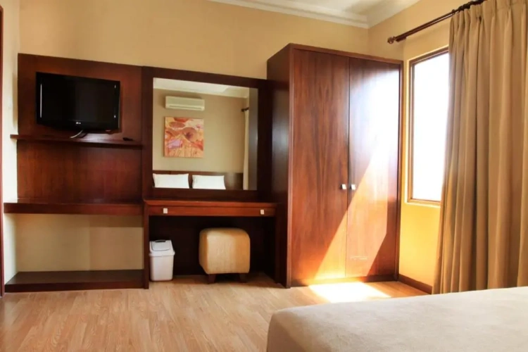 Deluxe Apartment with view