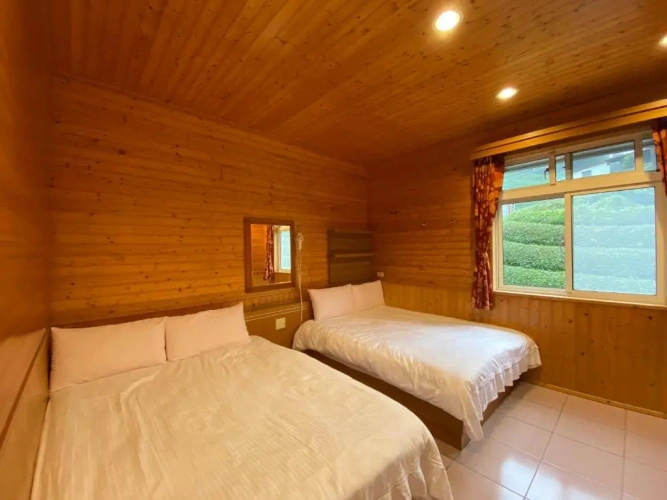 Standard Double room with balcony and with mountain view