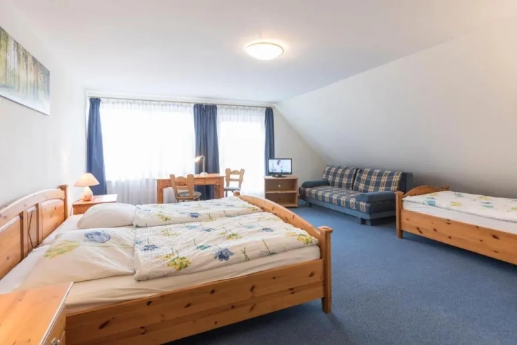 Standard Triple room