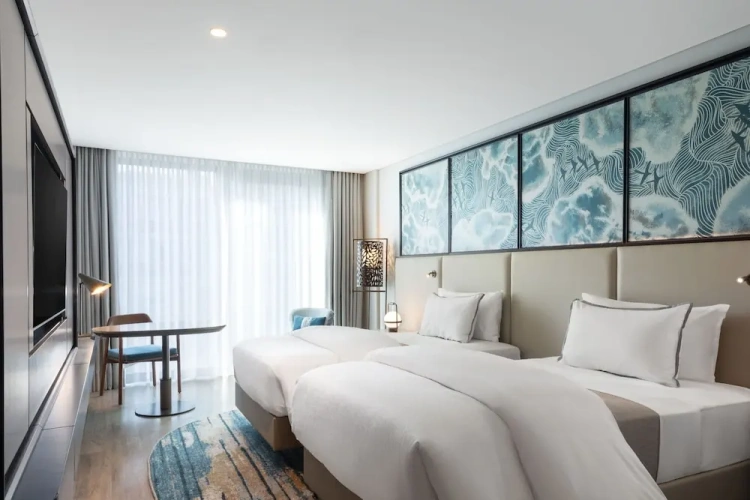Deluxe Twin room with city view