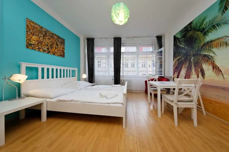 1 Bedroom Apartment