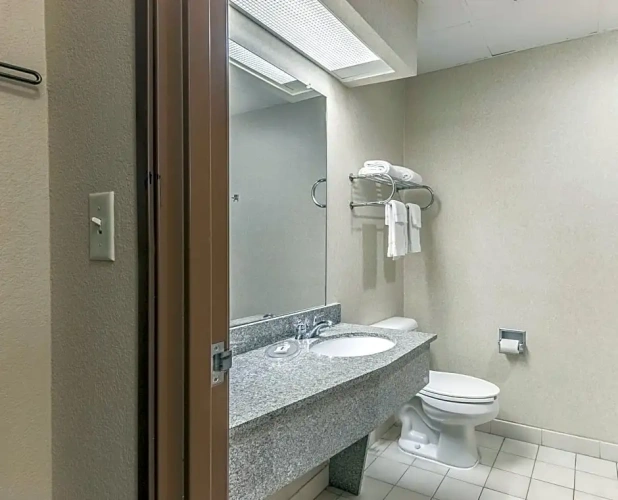 1 Bedroom Suite