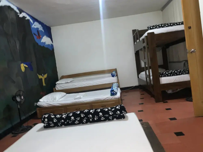 Natural House Hostel