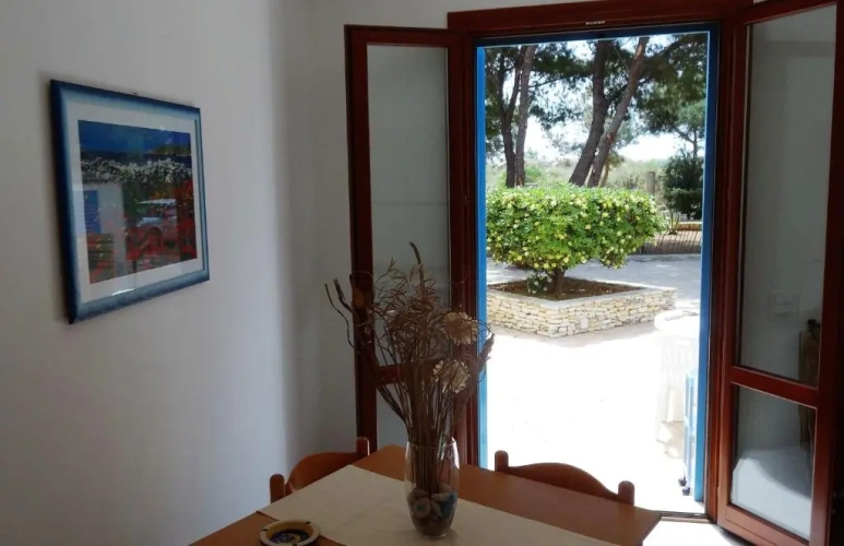 1 Bedroom Apartment with view