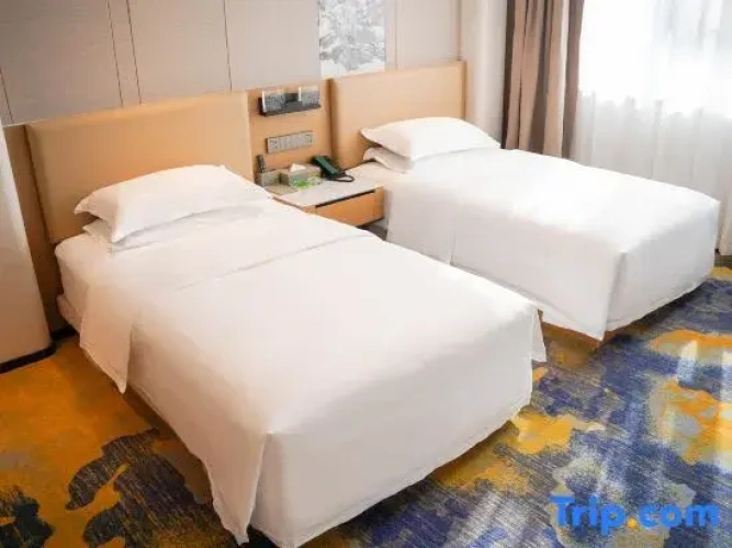 Standard Twin room with city view