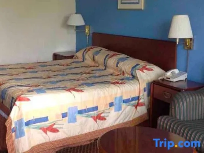 1 Bedroom Suite