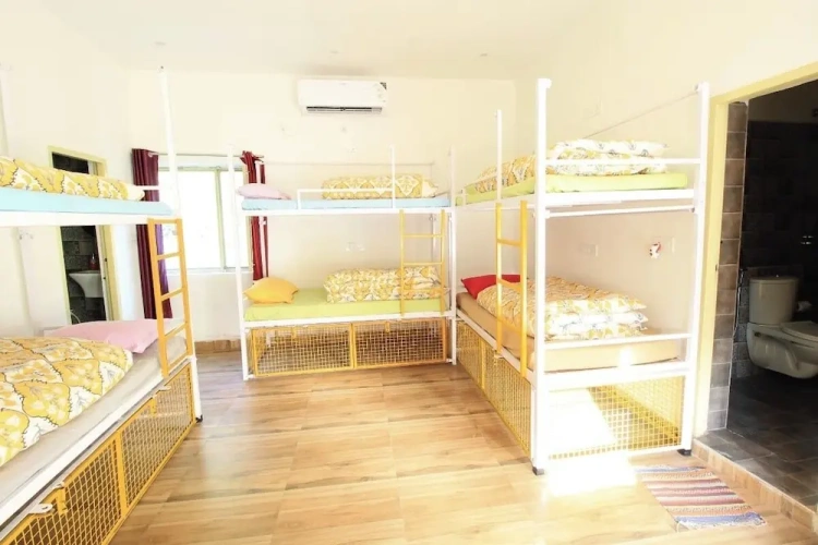 Bed in Dorm