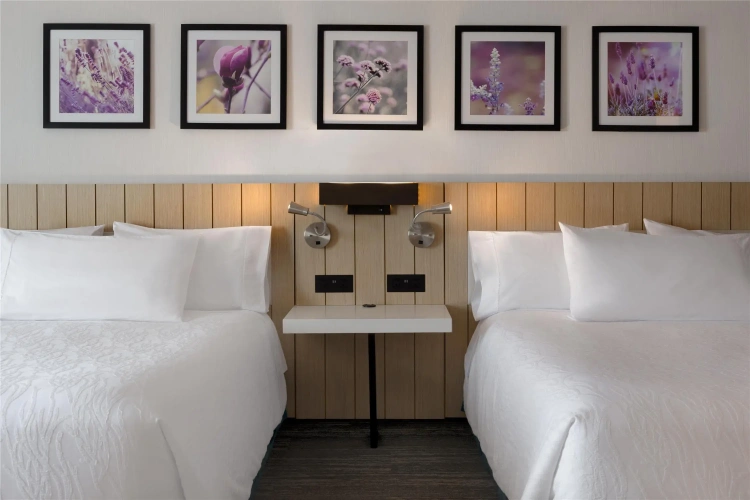 Double Suite