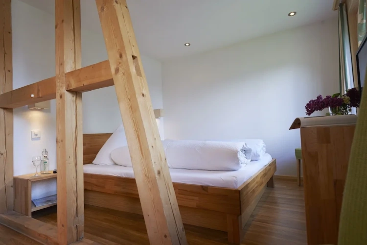 Economy Double room with mountain view
