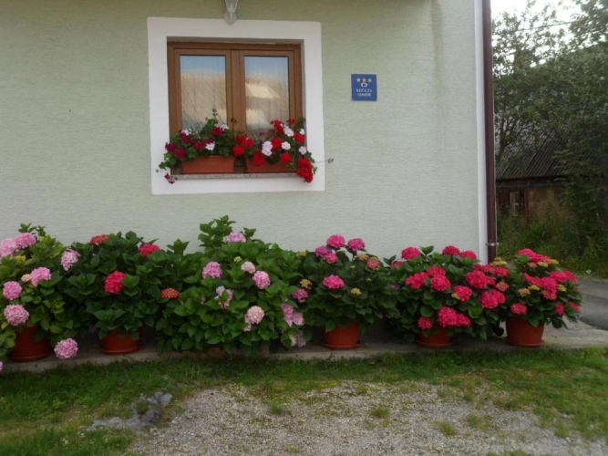Cottage