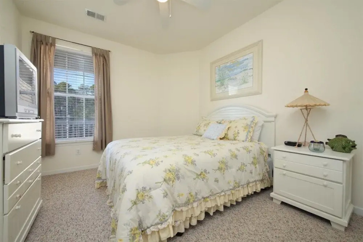 54E Sandpiper