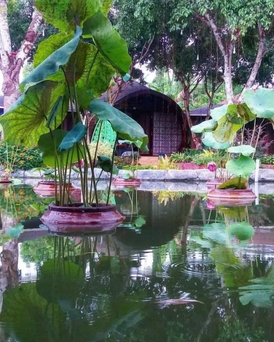 Triple Bungalow with view