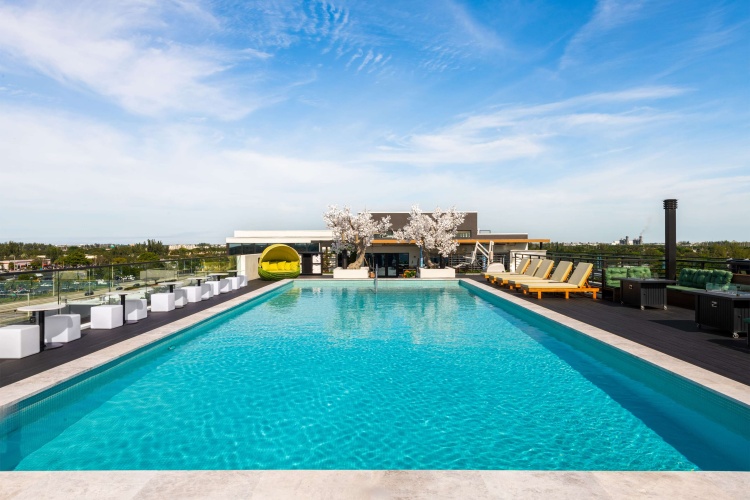 Dolce by Wyndham Hollywood photo 14