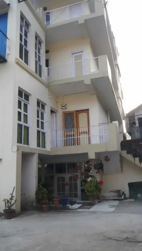 Ram Singh Palace