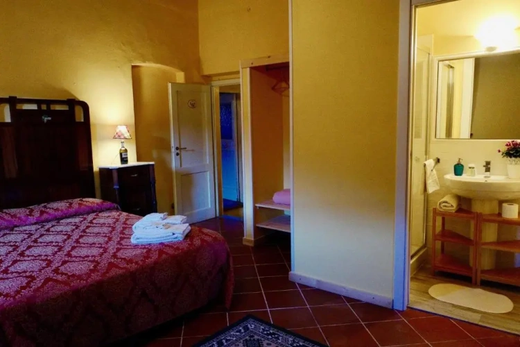 Standard Double room with garden view