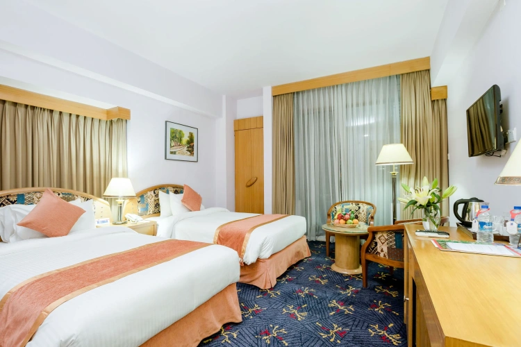 Deluxe Twin room
