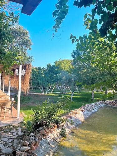 Olympos Paradi̇se Hotel