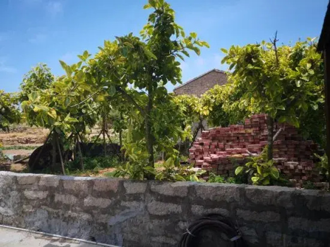 Pingtan Kenting Four Seasons Homestay