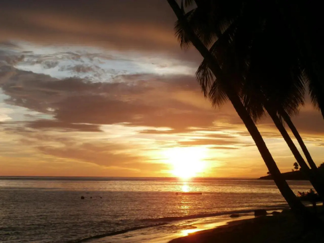 Palm View