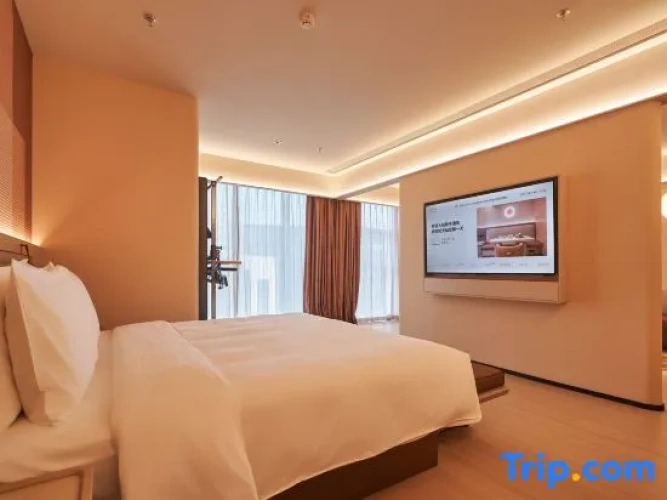 Single Suite