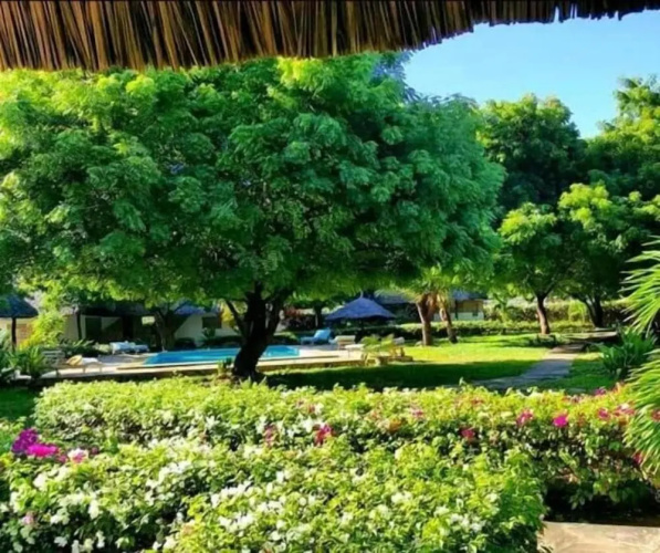 Echo Villas Watamu
