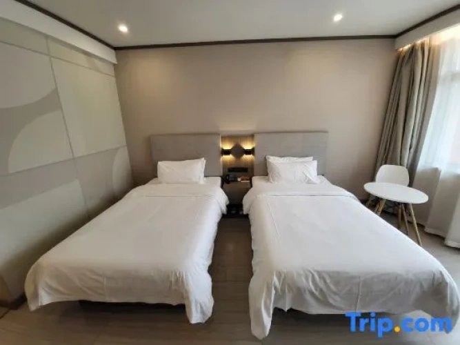 Standard Twin room with street view