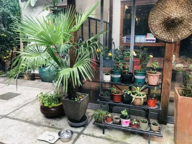 Happy House
