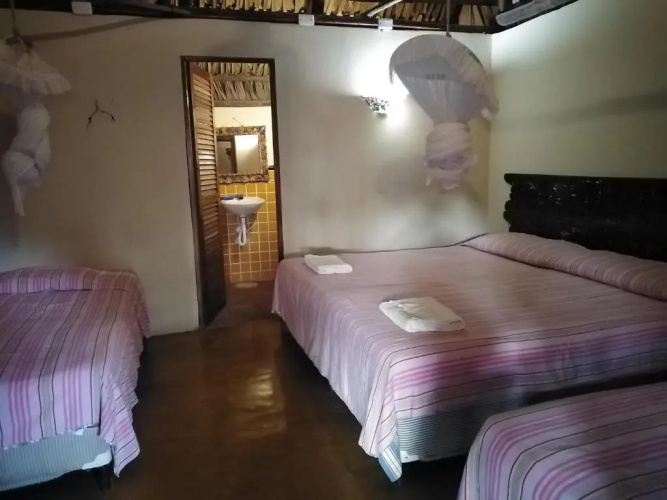 Hotel Pez De Oro