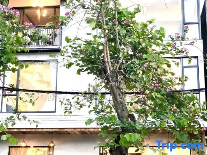 Yuehu Lakeview Guesthouse
