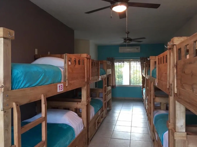 Bed in Dorm