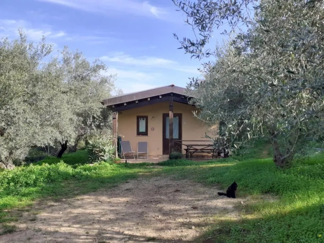 Standard Single Cottage