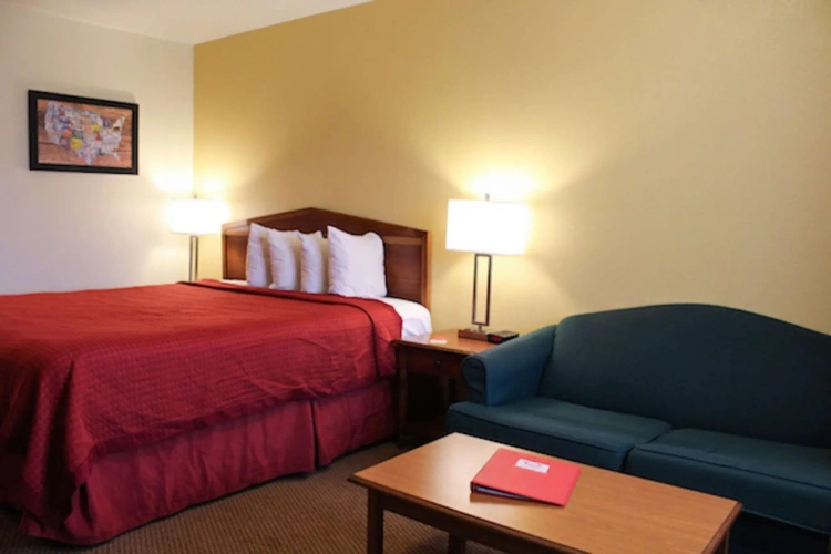 1 Bedroom Suite