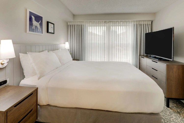 1 Bedroom Double Suite