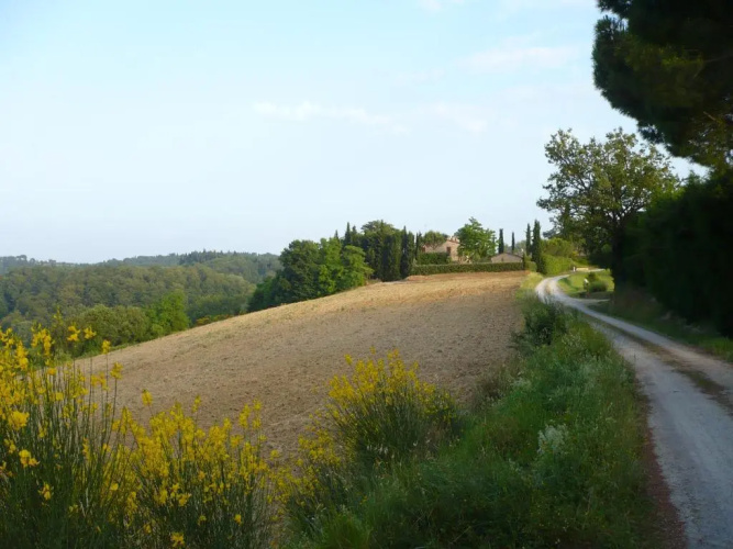 Podere Sionne