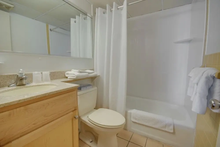 1 Bedroom Standard room with ocean view