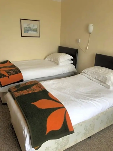 Standard Twin room with street view