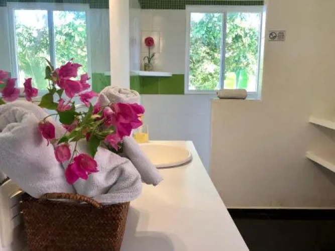 Tropical Garden