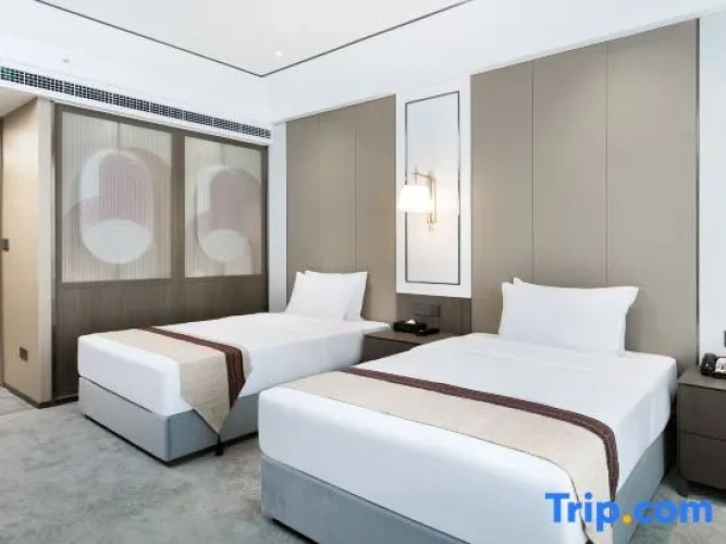 Executive Twin room