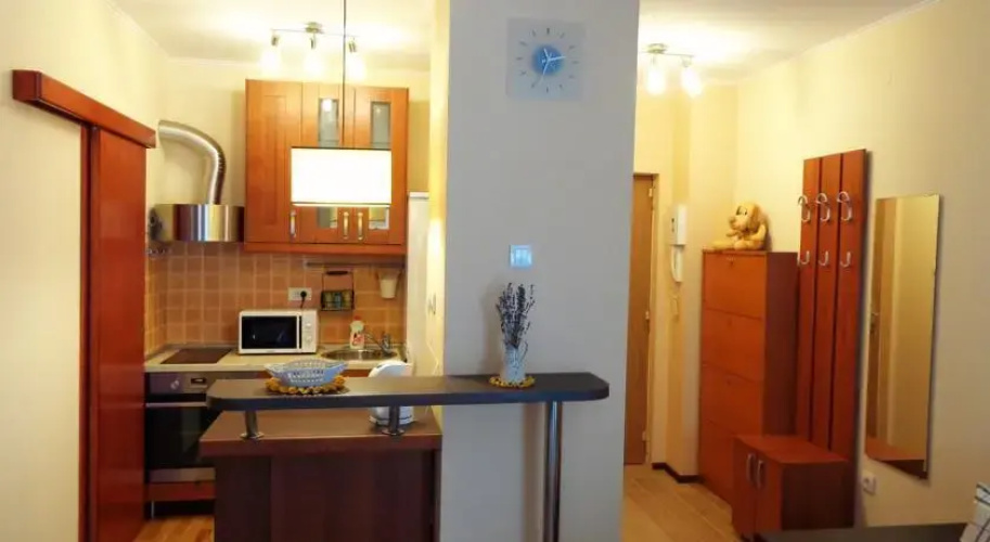 Apartment Vodnika