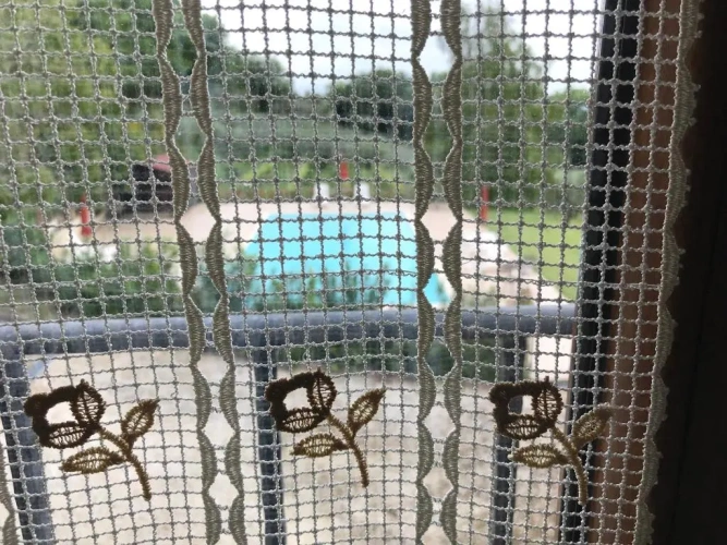 Standard Double room with pool view