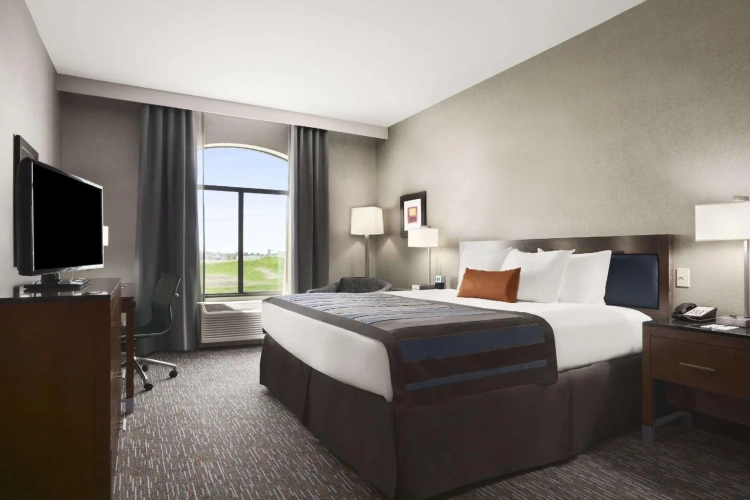 Double Suite