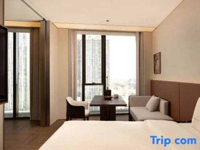 Superior Double Suite with city view