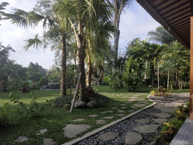 Standard Double room with garden view