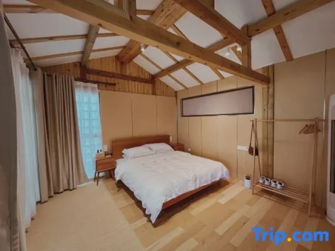 1 Bedroom Comfort Double room