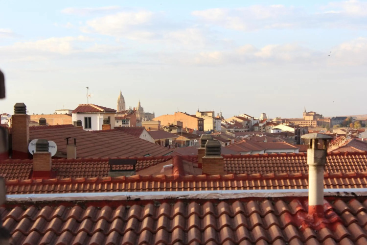 VUT Skyline