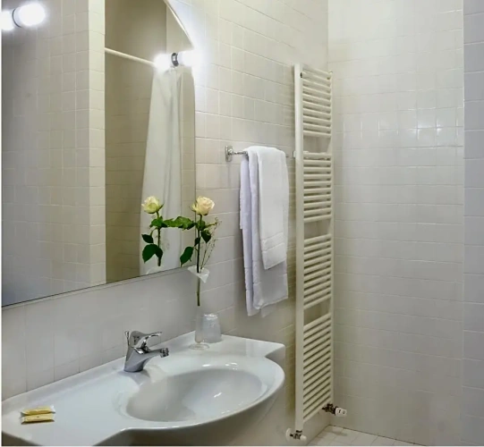 Comfort Double room with balcony and with view