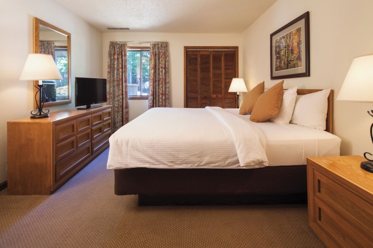 1 Bedroom Suite
