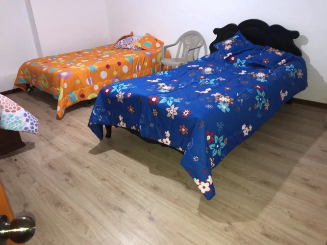 Hostel las Palmas
